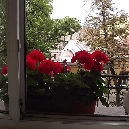 Florens Вільнюс
